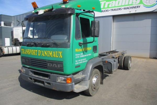 Truck units - DAF LF 55  Camion - châssis cabine (Belgique - Europe) - Houffalize Trading s.a.